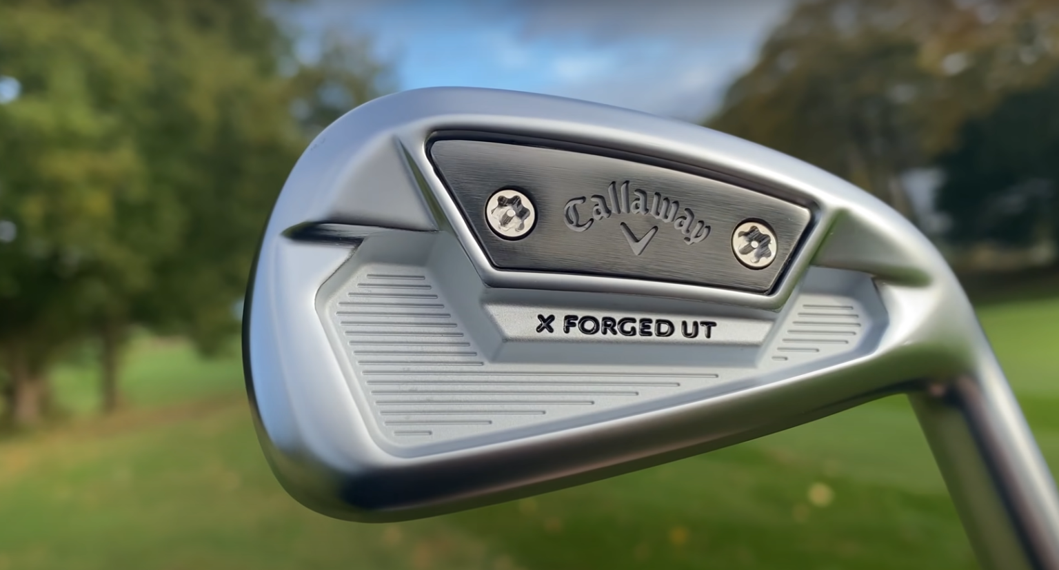 Top 5 Best Driving Irons [May 2024 Review] GolfProfy