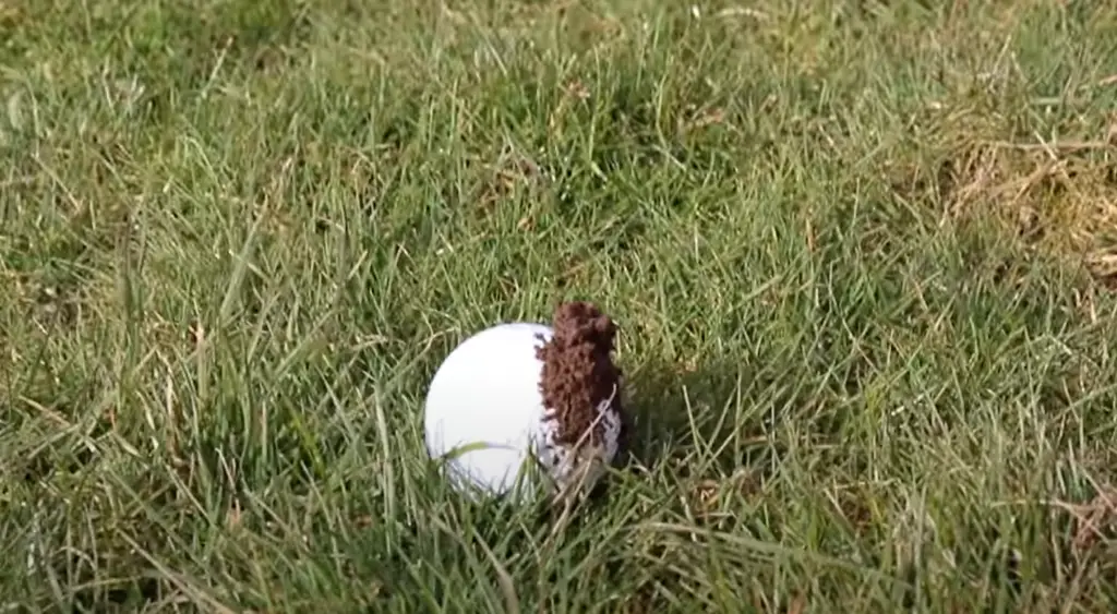 How Do You Hit a Mud Ball?